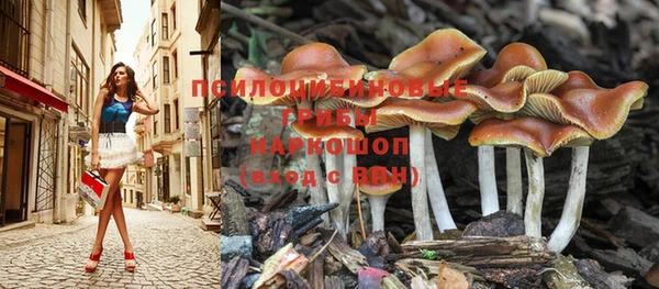 эйфоретик Армянск