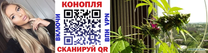 Конопля White Widow  Опочка 